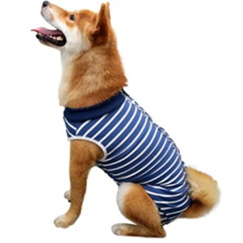 NEW RECOVERY DOG T-SHIRT E COLLAR AFTER SURGERY WEAR